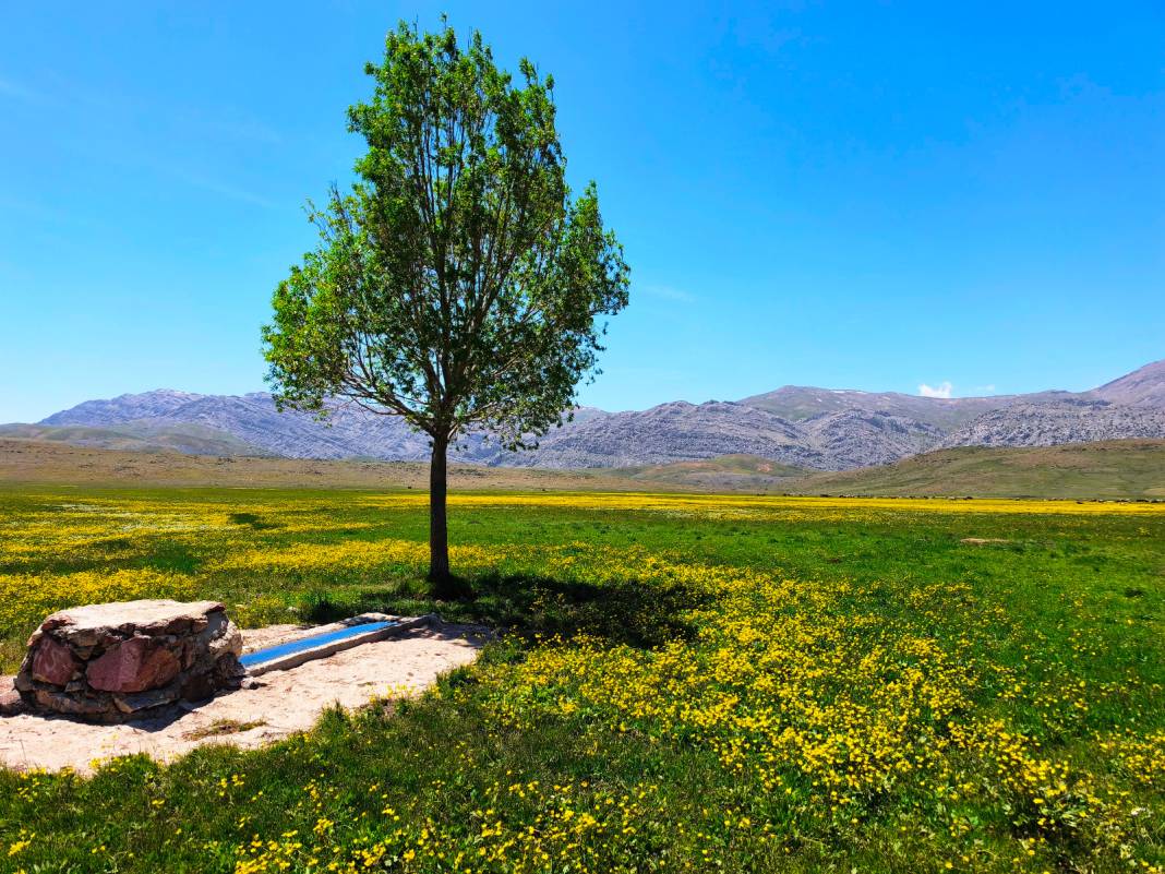 Konya’nın cennet köşesi baharı böyle karşıladı 3